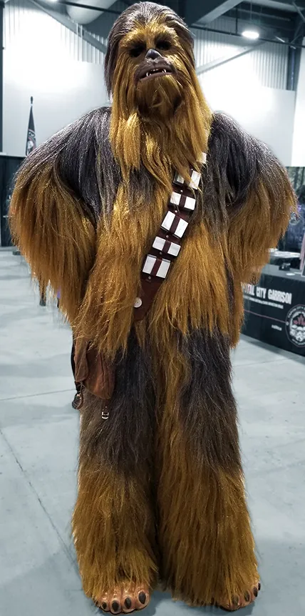 OttawaComicCon2025-075